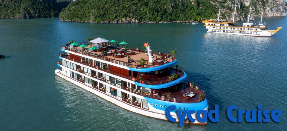 Cycad Cruise