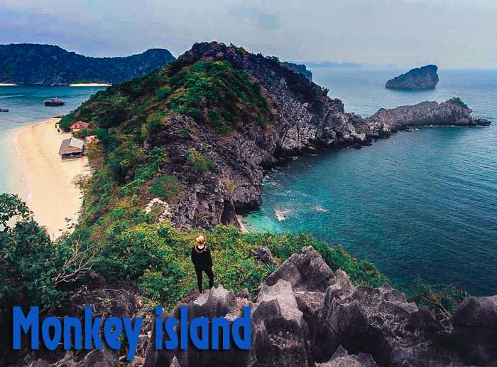 Monkey Island