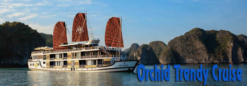 Orchid Trendy Cruise