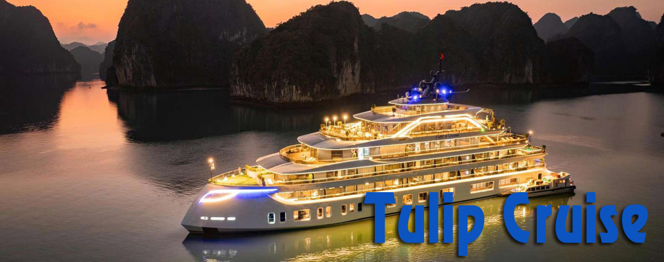 Tulip Cruise