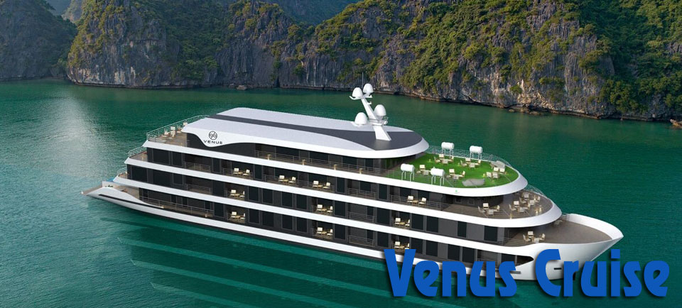 Venus Cruise