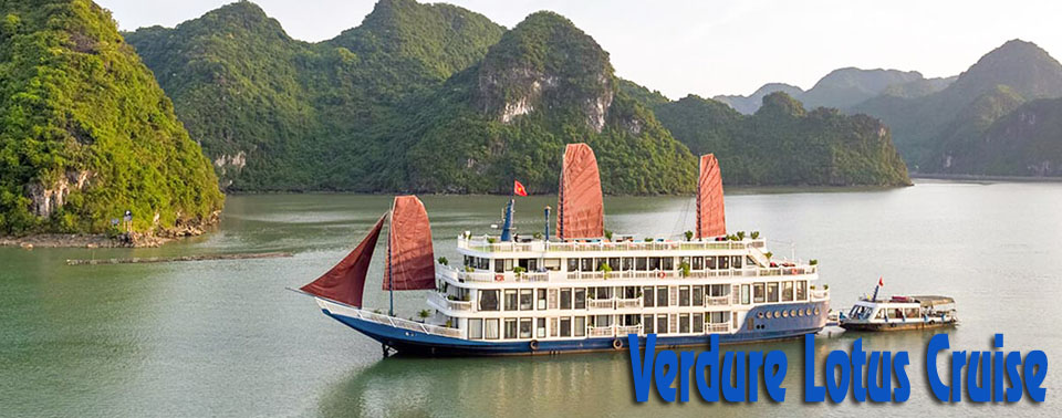 Verdure Lotus Cruise