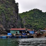 halong bay cruise pelican fishing village 150x150 Halong Bay   Pelican Cruise